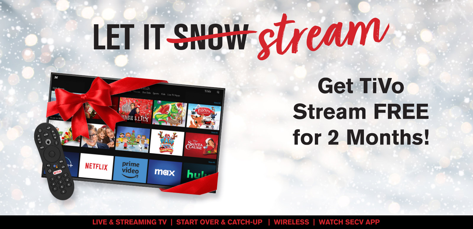 TiVo Stream from SECV